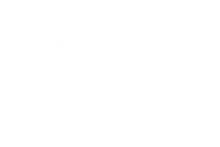 Viking Trigger Lock